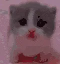 Scared
