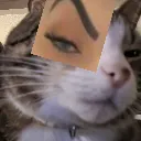sussy