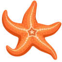 starfish