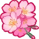 _cherryblossom