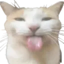 emoji_174 emoji_174