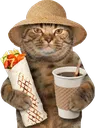 burritocat