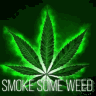 CatLeaf