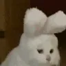 NODDERS2