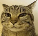 WY_Suspicious