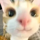 HALLOOOO