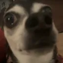 Sarge_jumpscare
