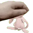 mewpat
