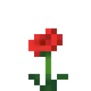 flowerpoppy