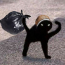 CocoCatRealLife Discord emoji