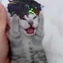 KinichCryingCat