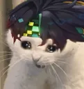 KinichSadCat