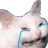 CatCry