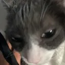 sideeye sideeye