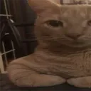 emo