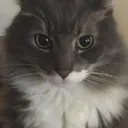 whoevenyou