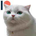madcat