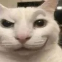 cat_sus