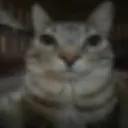 bro