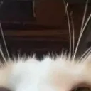 2_