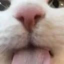 5_