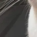 7_