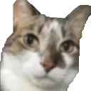 Guh