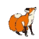foxhappydance