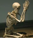 skeletonbegging