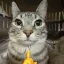 mogger mogger