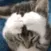 catomg