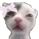 0102 Discord sticker - ۶ৎ　‿　cemetery　 ݁ 　˖