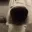 Sniffo