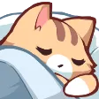 :bedcat: