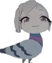 MutsukiPigeon
