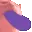sus_cat