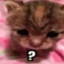 9confusedkitty
