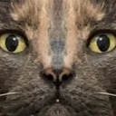 juumstare juumstare