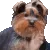 bbRant