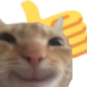Gatiwi_like Discord emoji