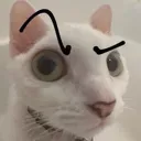 Cathmmm