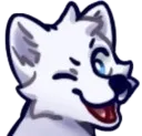 Wolf_Wink