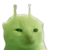 glorp