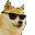 960933522611257344 Discord emoji