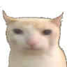 bruh_cat Discord emoji