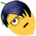L_EMO_N L_EMO_N