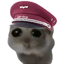 Hamsti