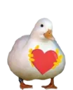 utkalove utkalove