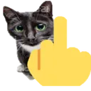 CatFuckYou