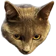 hontasROMEO
